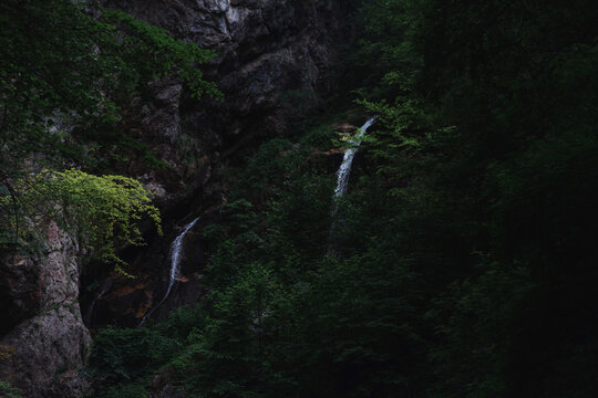 View of the National Park of Abruzzo featuring a cascading waterfall nestled among dense green forest and rugged rock cliffs in Pescasseroli, Abruzzo, Italy.