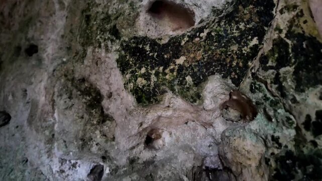 Ancient stone wall with moss and weathered textures. Rough surface shows signs of age and erosion. Small hole and cracks reveal hidden history. Moss grows in patches around the stone