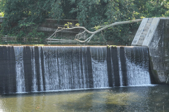 Water flowing smoothly over a concrete river weir wall, creating a beautiful artificial waterfall effect.