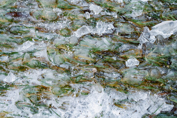 Frozen Balaton shoreline ice © Mrton