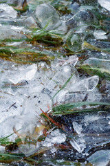 Frozen Lake Balaton shoreline © Mrton