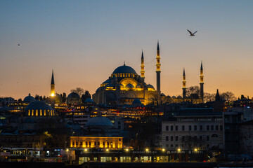 Fototapeta premium Illuminated Suleymaniye Mosque and city skyline at dusk with a flying seagull over the Eminonu waterfront at Istanbul, Turkey