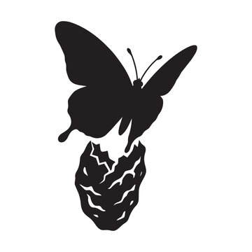 Black silhouette vector illustration of butterfly emerging from a cocoon