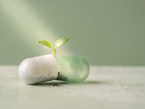 Medicine capsule split open with a green seedling growing inside