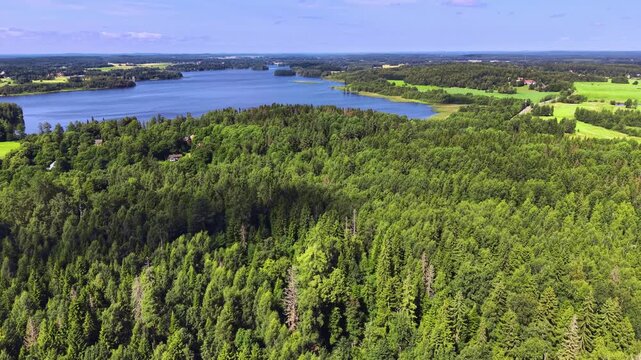 Finnish aerial landscape of forest and a distant lake near H&auml;meenlinna, dramatic and cinematic movement. 