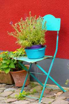 Colorful Garden Chair with Potted Plant in Front of Red Wall