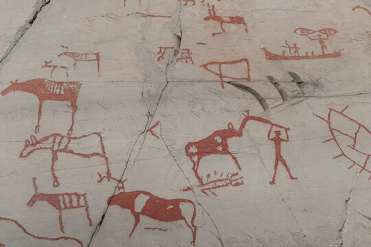 View of ancient red-painted petroglyphs depicting reindeer, boats, and human figures at the Alta Museum - World Heritage Center for Rock Carvings in Alta, Finnmark, Norway.
