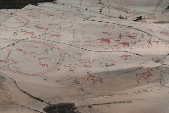 View of ancient petroglyphs featuring reindeer and geometric figures carved into the rock surface at the Alta Museum - World Heritage Center for Rock Carvings, Alta, Finnmark, Norway.