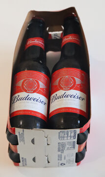 Norwich, United Kingdom &ndash; June 8, 2026: Everyday retail and consumer life Six pack of budweiser beer bottles in cardboard carrier with red with set against plain background