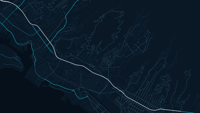 Honolulu Hawaii City Street Map Blueprint Poster