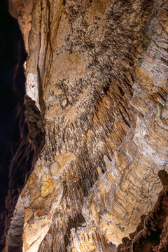 Low angle view of dense stalactites hanging from an illuminated limestone cave ceiling