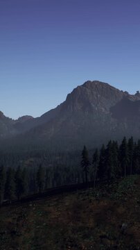 A large mountain rises over a forest. Tall trees spread across the landscape below. The sky is clear with sunlight shining on the scene.