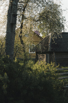 Laane County, Estonia - 19 May 2024: View of Vormsi, with a traditional yellow wooden house and a rustic log shed nestled among blooming spring trees and a birdhouse.