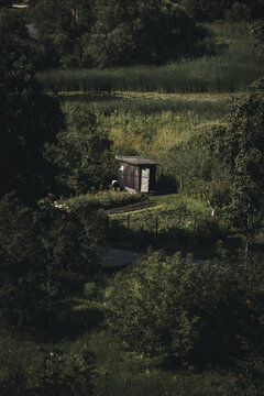View of a small wooden shed in a lush garden surrounded by trees and tall grasses in Ludza, Ludza Municipality, Latvia.