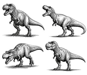 Collection of four detailed illustrations of Tyrannosaurus Rex dinosaurs in various poses © UnIcons