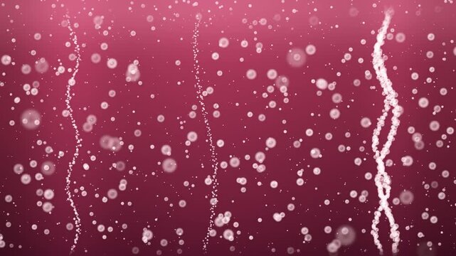 Carbonated soda bubbles rising in colorful fizzy drink macro beverage background seamless loop in cool berry tones