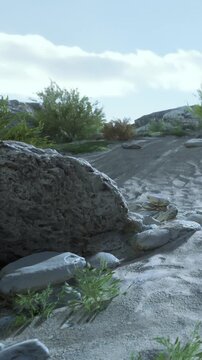 A dry pathway moves through rocks and plants in a natural setting. The sun is shining above, and the earth shows signs of wear. Vegetation grows around the stones.