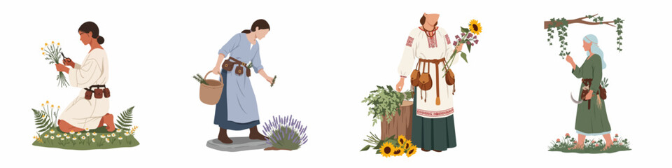 Set of flat vector illustrations depicting women in traditional attire gathering medicinal herbs and wild flowers like chamomile, lavender, and sunflowers.