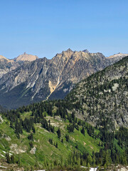 Obraz premium Vertical shot of steep rocky mountain ridge covered with sparse pine trees above a lush green alpine valley, North Cascades National Park, Washington