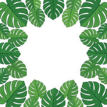 Monstera Leaf Frame border