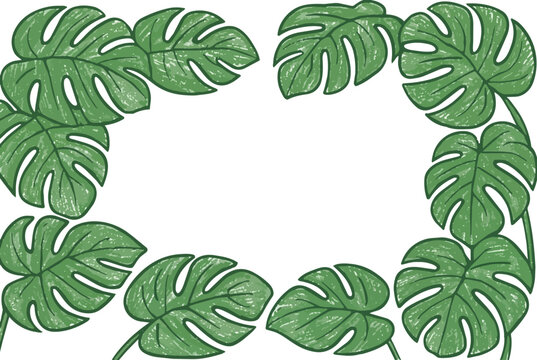 Monstera Leaf Frame border