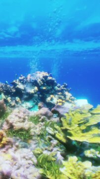 Coral reef is seen from a low angle underwater. Bright blue water surrounds various types of coral. Small fish swim around the reef. Sunlight enters the water from above.