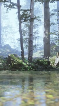 Morning light shines through trees in a quiet forest. Rocks and plants surround a small pond. The scene shows natural beauty and calmness of the outdoors.