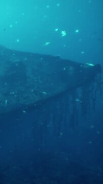 A shipwreck lies on the ocean floor. Fish swim around the wreck. Seaweed grows on the hull. Light filters through the water. Bubbles rise from the surrounding area.