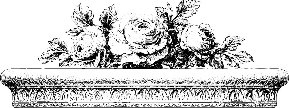 Vintage engraved misericord carving with floral ornament and decorative foliage isolated for architectural border and ornament design on frieze and capital