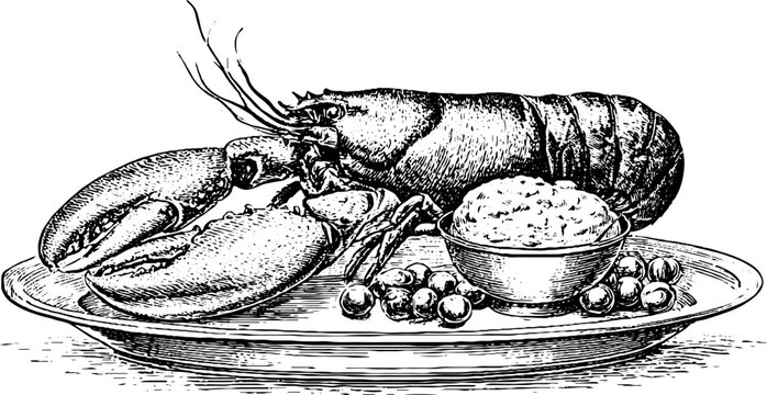 Vintage engraved lobster thermidor with creamy sauce peas and garnish on a platter for menu background and gourmet cookbook layout