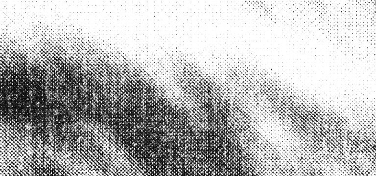 Broad curved printed form fading into fine monochrome halftone grain.