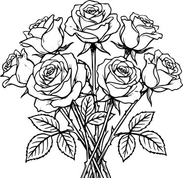 Hand-drawn bouquet of roses vector illustration, black and white outline floral design