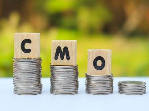 Wooden blocks spelling CMO (Chief Marketing Officer) rest on decreasing coin stacks, representing corporate leadership and marketing budget concepts.