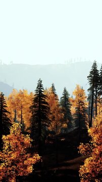 Tall trees with bright yellow and green leaves fill the forest landscape. The sun shines down on the scene, creating a warm atmosphere in autumn. Mountains are visible in the background.