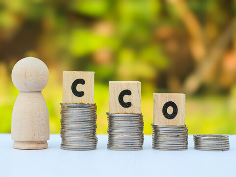 Wooden blocks spelling CCO (Chief Commercial Officer) with a wooden peg figure on stacked coins, illustrating corporate executive leadership.