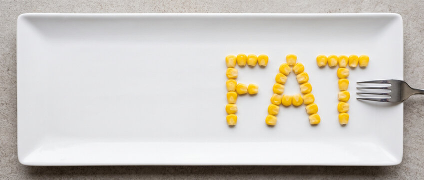 Word fat spelled with corn kernels on white plate. Concept of eating disorder, body image issues and unhealthy diet. Psychological struggle with negative self perception and weight.
