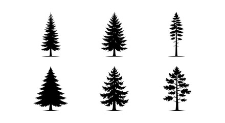 Fototapeta premium Pine Tree Silhouettes, Evergreen Forest Icons, Coniferous Woodland Vector Set