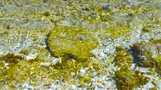Bassa marea con movimento del mare su fondale roccioso e con ciottoli