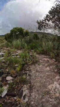 caminhando na trilha na cidade de Gr&atilde;o Mogol, Estado de Minas Gerais, Brasil