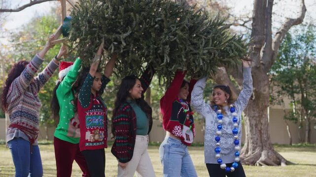 Group of friends lift and carry a Christmas tree across an outdoor space, laughing.