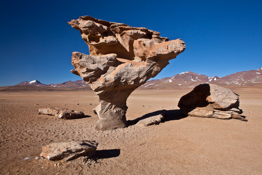 Unique wind eroded Arbol de Piedra rock formation in Siloli Desert Bolivia
