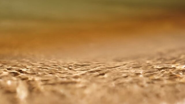 Golden sunlight reflecting on ripples of clear shallow water creating a shimmering caustic pattern.