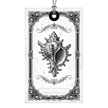 Ornate Hanging Decorative Tag Featuring a Detailed Spiny Marine Shell Illustration