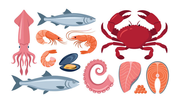 Fresh seafood set with fish crab shrimp squid octopus tentacle salmon steak caviar and mussel isolated vector illustration