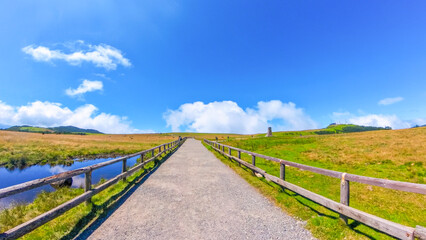 Fototapeta premium 夏の美ヶ原高原の遊歩道と広大な牧場の景色（長野県）