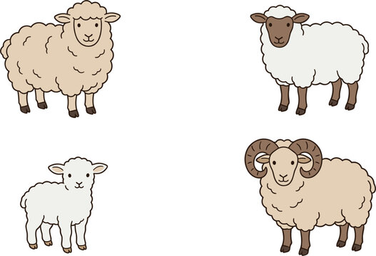 Sheep vector illustration set featuring domestic livestock farm animals including fluffy ewe curly ram with horns and a cute little lamb