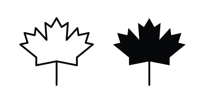 Maple leaf icon for creative projects