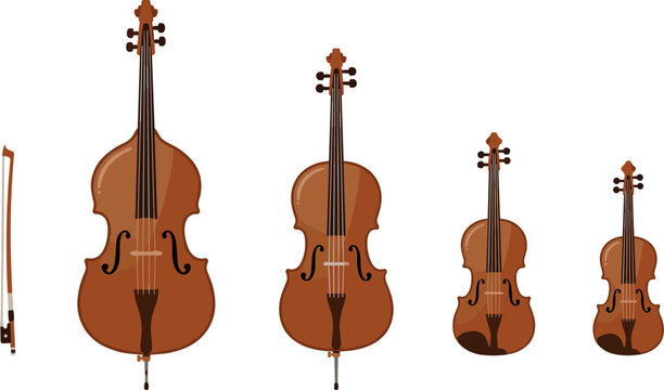 String family musical instruments set vector illustration featuring double bass cello viola violin and bow isolated on white background for classical orchestra