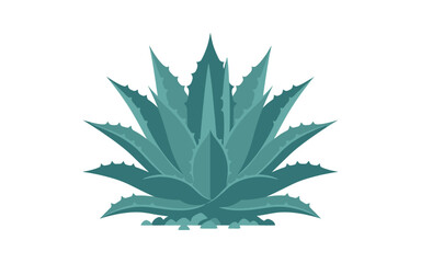 Fototapeta premium Blue Agave Plant Flat Vector Illustration