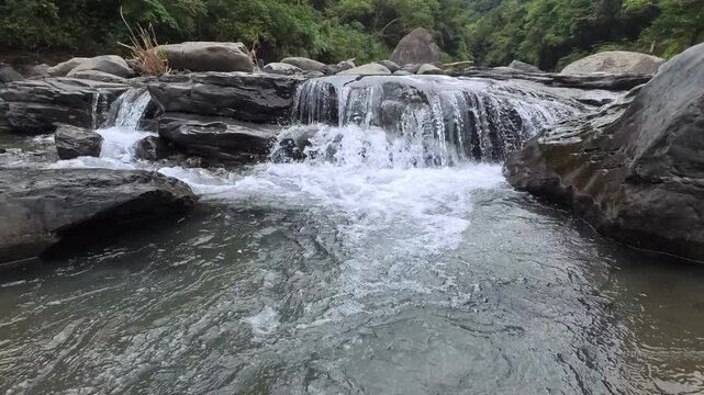 Water cascades over dark rocks in a lush green forest stream, 4K b-roll